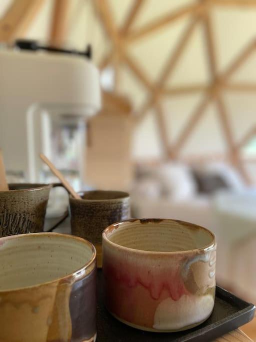 Dome Insolite Lichen Jacuzzi Et Petits-Dejeuners Inclus Gondrin ภายนอก รูปภาพ