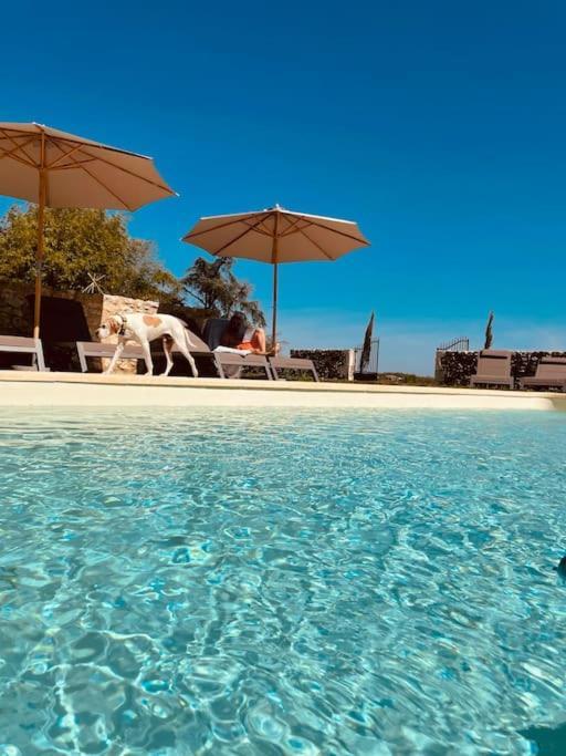Dome Insolite Lichen Jacuzzi Et Petits-Dejeuners Inclus Gondrin ภายนอก รูปภาพ